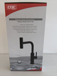 Robinet Noir mat 16''