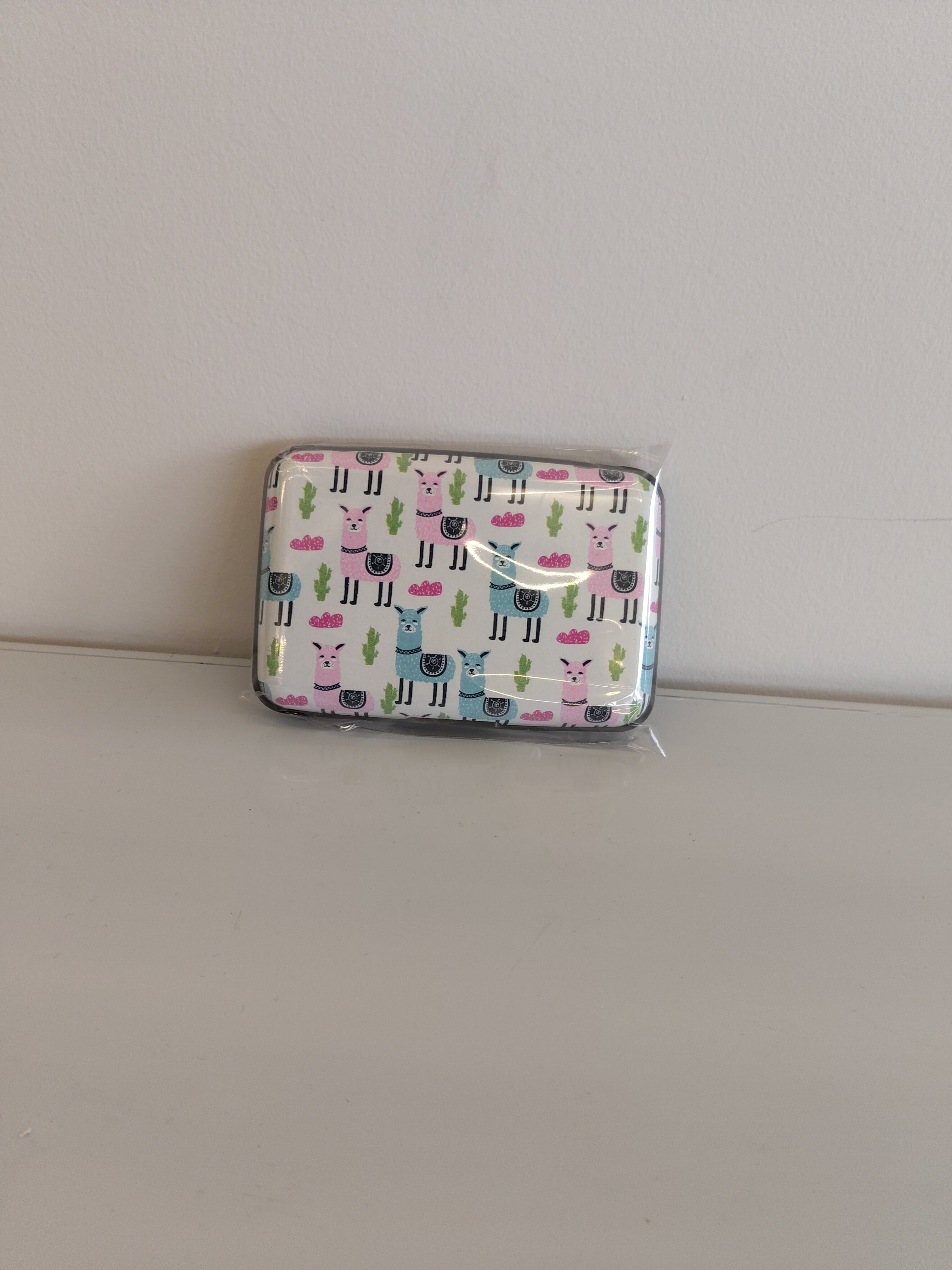 Étui pour carte BCH 2