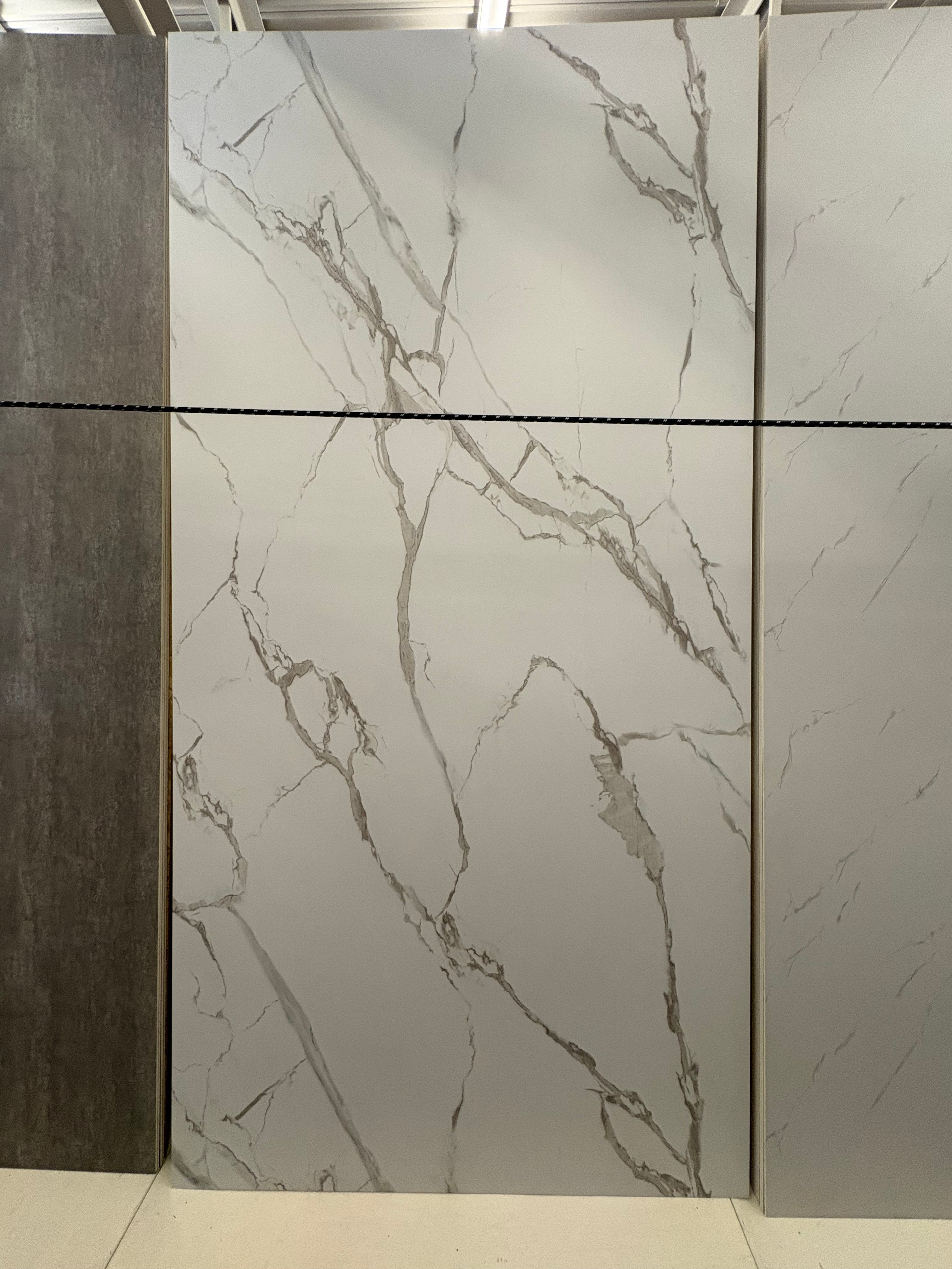 Mur de douche SPC 5mm d'épaiseur 4 pieds x 8 pieds MD 2